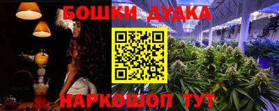 индика Нальчик