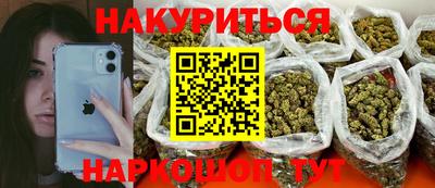 индика Нальчик