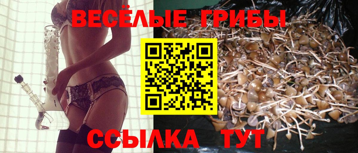 Галлюциногенные грибы Psilocybine cubensis  Вход с VPN  Трёхгорный  Галлюциногенные грибы прущие грибы 