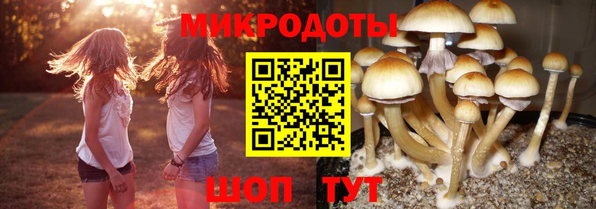 Галлюциногенные грибы мицелий Трёхгорный
